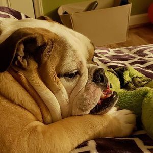 Meet your Posher, Debra